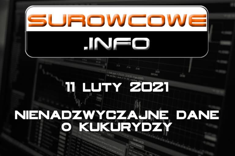 Surowcowe.info 11/02/2021 – nienadzwyczajne dane o kukurydzy