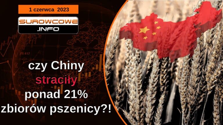 aktualności - 1 czerwca 2023