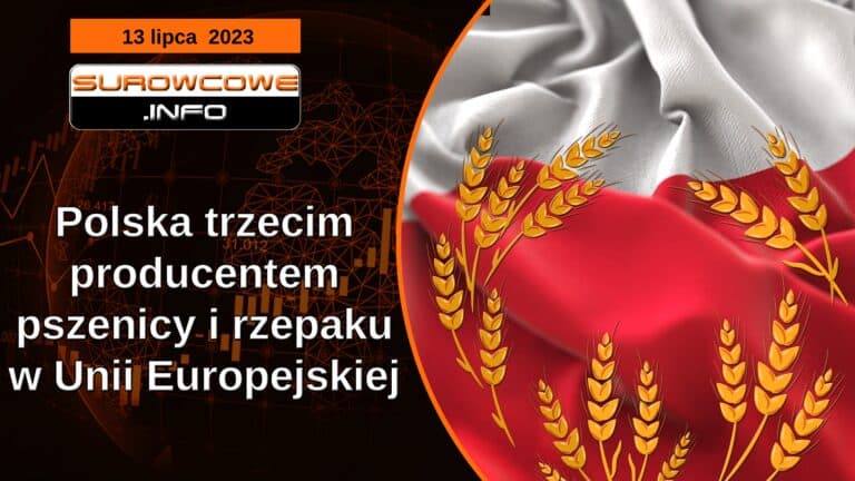 aktualności - 13 lipca 2023