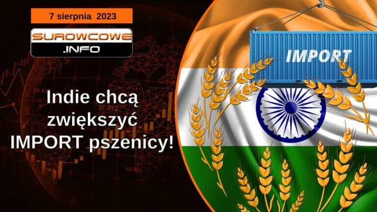 aktualności - 7 sierpnia 2023