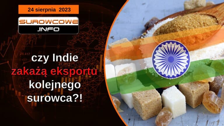 aktualności - 24 sierpnia 2023