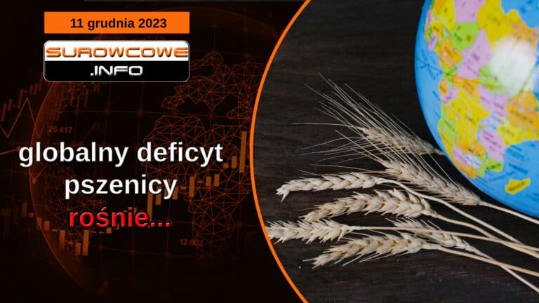 aktualności - 11 grudnia 2023