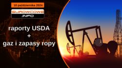 raporty USDA + gaz i zapasy ropy - 10 października 2024