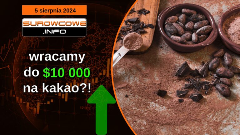 aktualności - 18 listopada 2024