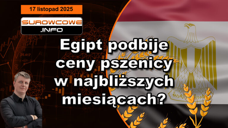 aktualności surowcowe - 17 listopada 2025: Egipt podbije ceny pszenicy w najbliższych miesiącach?
